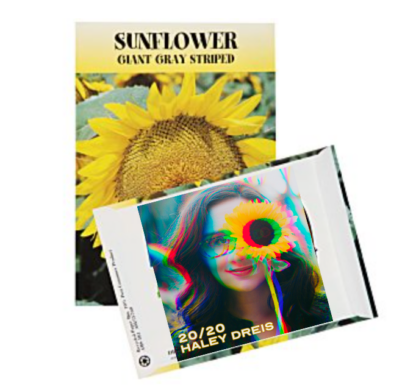 '20/20' Album Artwork Sunflower Seeds